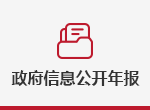 政府信息公開年報